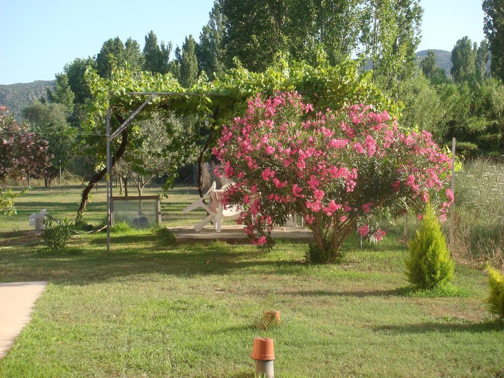 Villa Angela Sykia Chalkidikis Extérieur photo