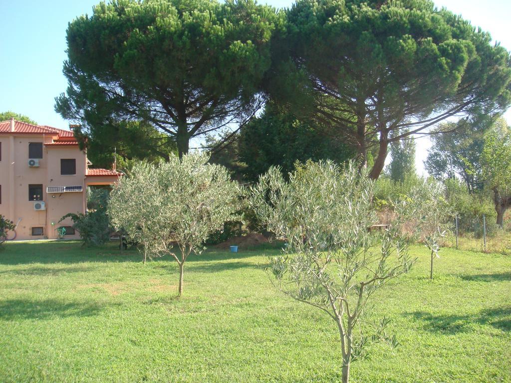 Villa Angela Sykia Chalkidikis Extérieur photo